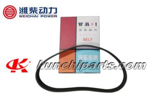 Weichai WD615 สายพาน 612600060351 8PK800 พลังงานสมบูรณ์แบบ