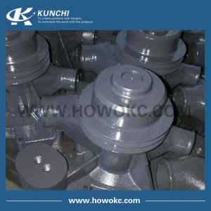61800061007 Weichai ซีรี่ส์ Weichai